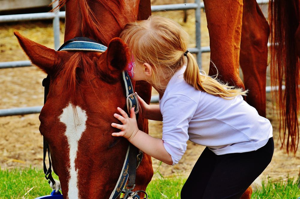 Kind lehnt den Kopf an ein Pferd